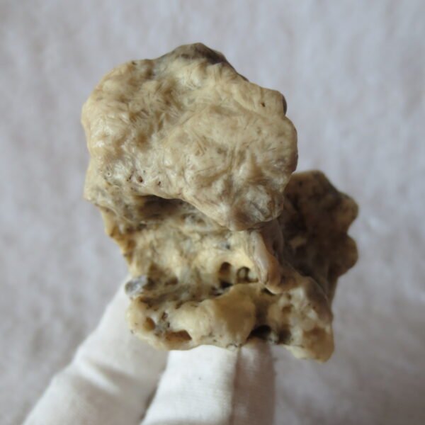 natural gobi skeleton stone (ji gu stone), boxwork ventifact, desert viewing stone (u11） (copy)