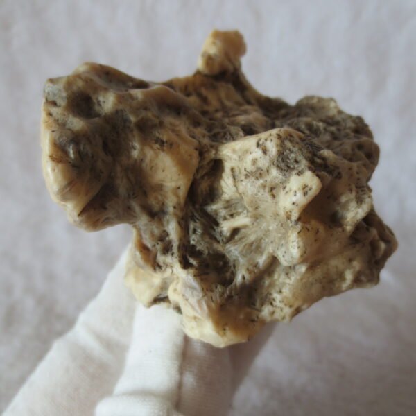 natural gobi skeleton stone (ji gu stone), boxwork ventifact, desert viewing stone (u11） (copy)