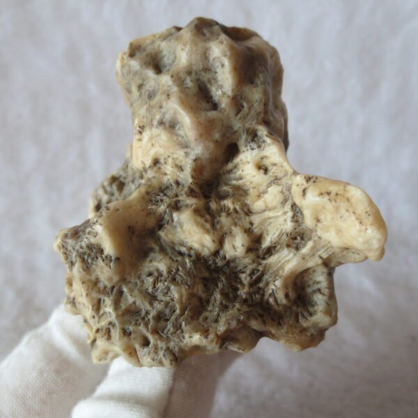 natural gobi skeleton stone (ji gu stone), boxwork ventifact, desert viewing stone (u11） (copy)