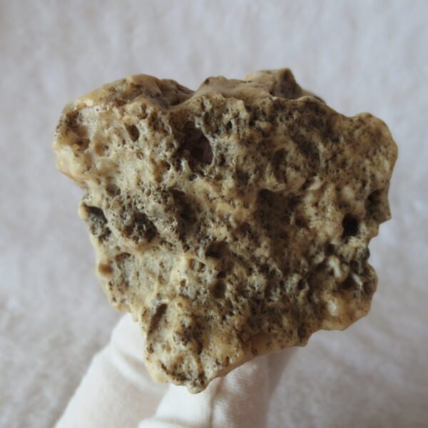 natural gobi skeleton stone (ji gu stone), boxwork ventifact, desert viewing stone (u11） (copy)