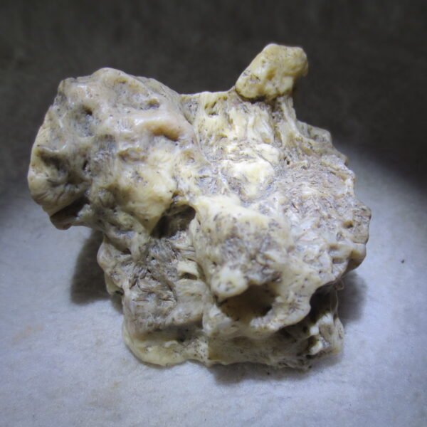 natural gobi skeleton stone (ji gu stone), boxwork ventifact, desert viewing stone (u11） (copy)