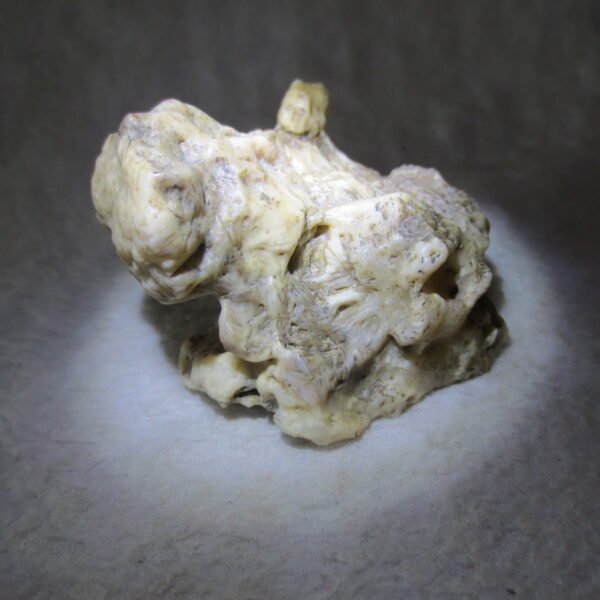 natural gobi skeleton stone (ji gu stone), boxwork ventifact, desert viewing stone (u11） (copy)