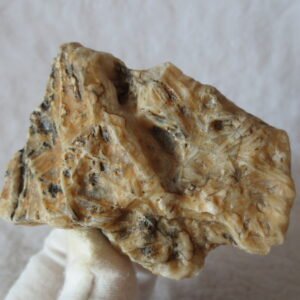natural gobi skeleton stone (ji gu stone), boxwork ventifact, desert viewing stone (u12） (copy)
