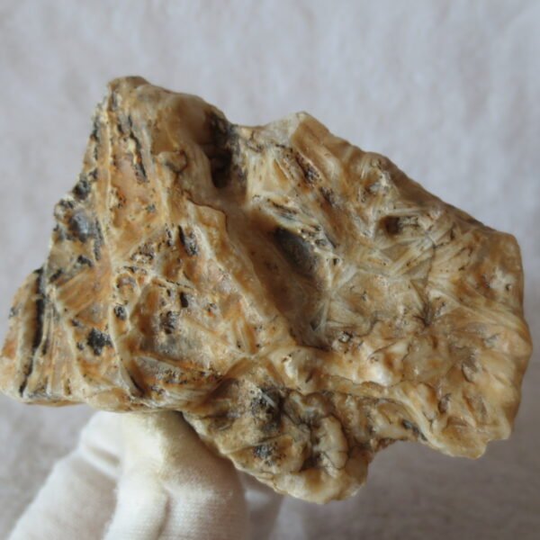 natural gobi skeleton stone (ji gu stone), boxwork ventifact, desert viewing stone (u12） (copy)