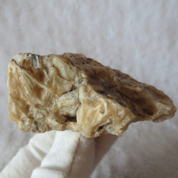 natural gobi skeleton stone (ji gu stone), boxwork ventifact, desert viewing stone (u12） (copy)