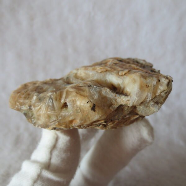 natural gobi skeleton stone (ji gu stone), boxwork ventifact, desert viewing stone (u12） (copy)