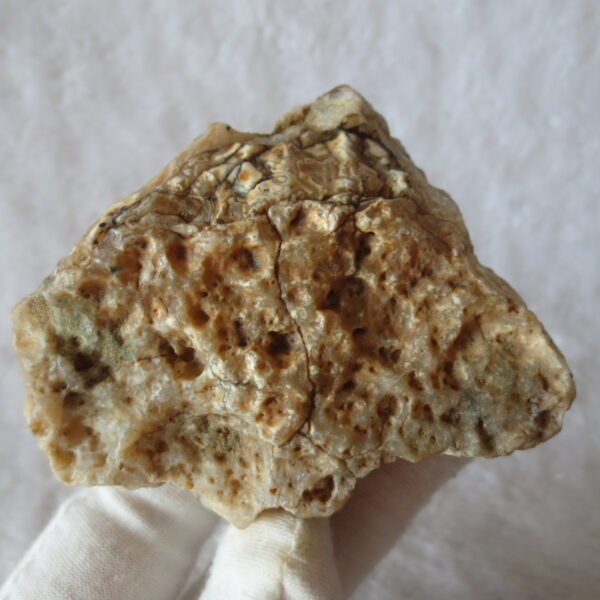 natural gobi skeleton stone (ji gu stone), boxwork ventifact, desert viewing stone (u12） (copy)