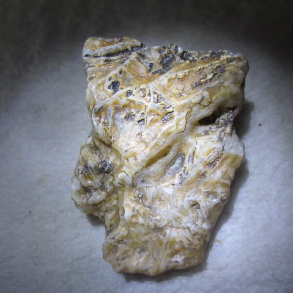 natural gobi skeleton stone (ji gu stone), boxwork ventifact, desert viewing stone (u12） (copy)