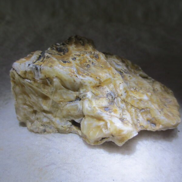 natural gobi skeleton stone (ji gu stone), boxwork ventifact, desert viewing stone (u12） (copy)