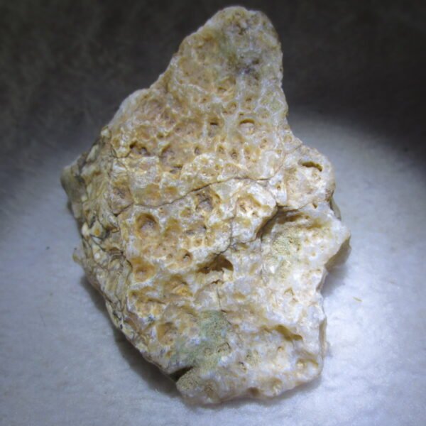 natural gobi skeleton stone (ji gu stone), boxwork ventifact, desert viewing stone (u12） (copy)