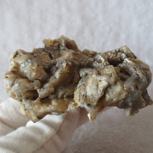 natural gobi skeleton stone (ji gu stone), boxwork ventifact, desert viewing stone (u14）