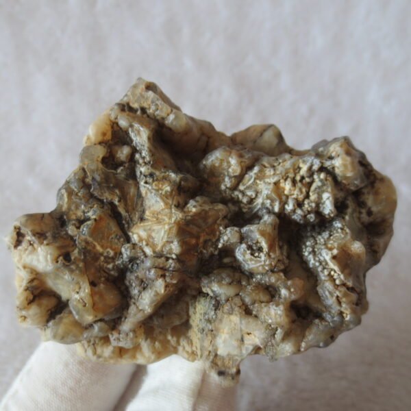 natural gobi skeleton stone (ji gu stone), boxwork ventifact, desert viewing stone (u14）