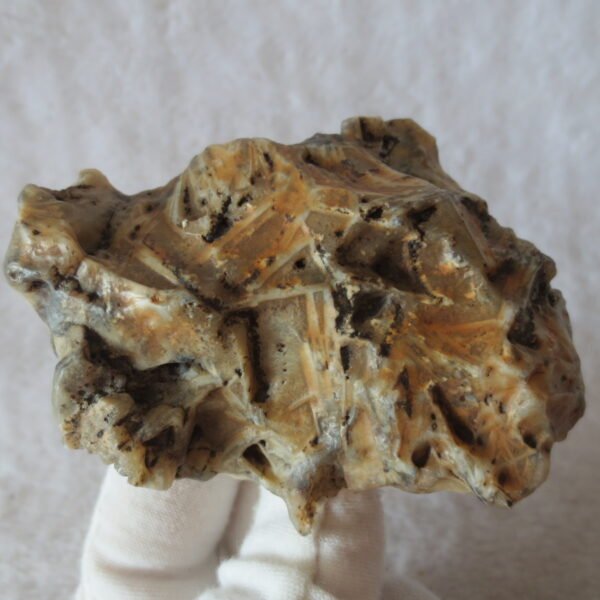natural gobi skeleton stone (ji gu stone), boxwork ventifact, desert viewing stone (u14）