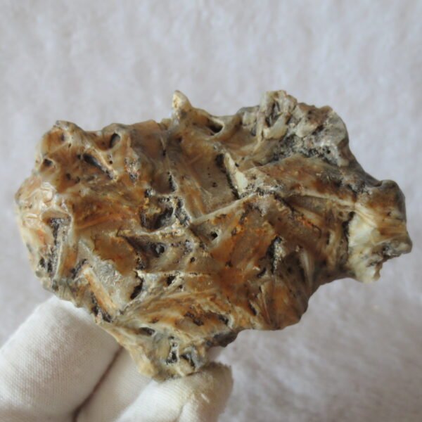 natural gobi skeleton stone (ji gu stone), boxwork ventifact, desert viewing stone (u14）