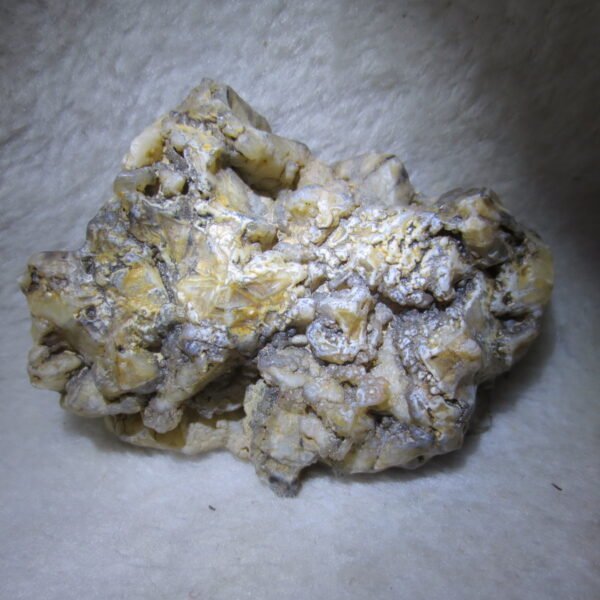 natural gobi skeleton stone (ji gu stone), boxwork ventifact, desert viewing stone (u14）