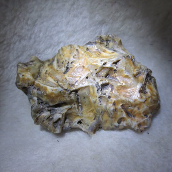 natural gobi skeleton stone (ji gu stone), boxwork ventifact, desert viewing stone (u14）