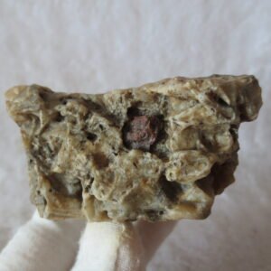 natural gobi skeleton stone (ji gu stone), boxwork ventifact, desert viewing stone (u14） (copy)