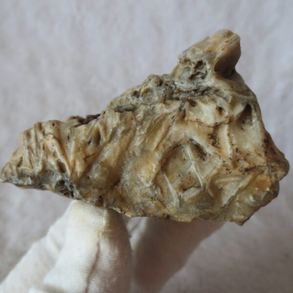 natural gobi skeleton stone (ji gu stone), boxwork ventifact, desert viewing stone (u14） (copy)