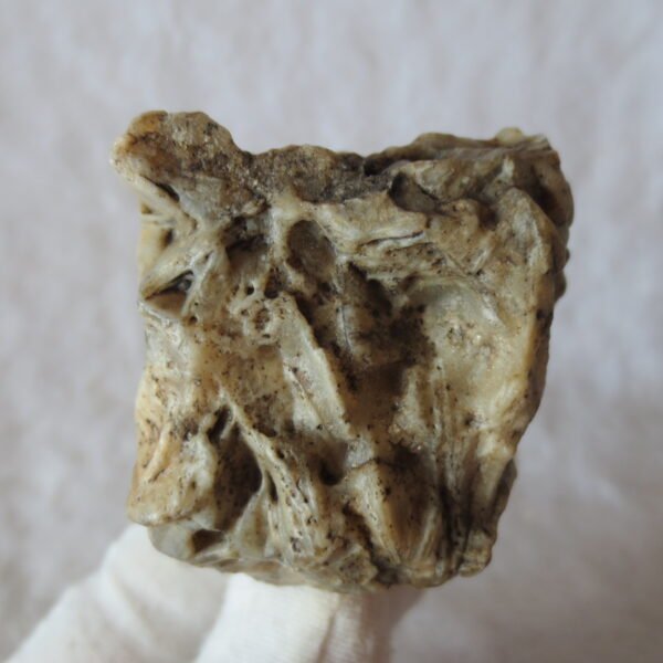 natural gobi skeleton stone (ji gu stone), boxwork ventifact, desert viewing stone (u14） (copy)