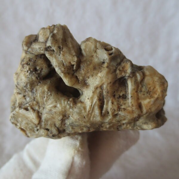 natural gobi skeleton stone (ji gu stone), boxwork ventifact, desert viewing stone (u14） (copy)
