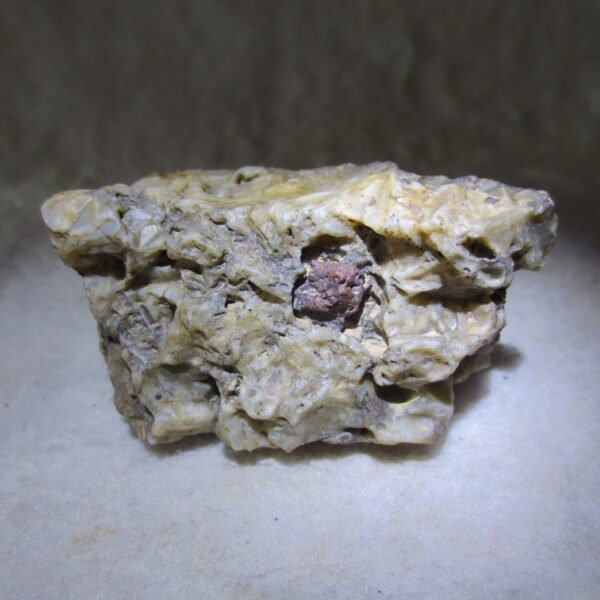 natural gobi skeleton stone (ji gu stone), boxwork ventifact, desert viewing stone (u14） (copy)