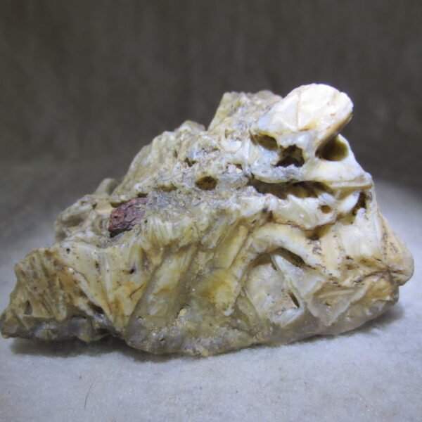 natural gobi skeleton stone (ji gu stone), boxwork ventifact, desert viewing stone (u14） (copy)