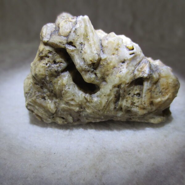 natural gobi skeleton stone (ji gu stone), boxwork ventifact, desert viewing stone (u14） (copy)