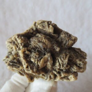 natural gobi skeleton stone (ji gu stone), boxwork ventifact, desert viewing stone (u15）