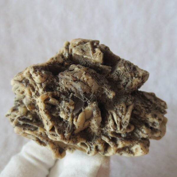 natural gobi skeleton stone (ji gu stone), boxwork ventifact, desert viewing stone (u15)