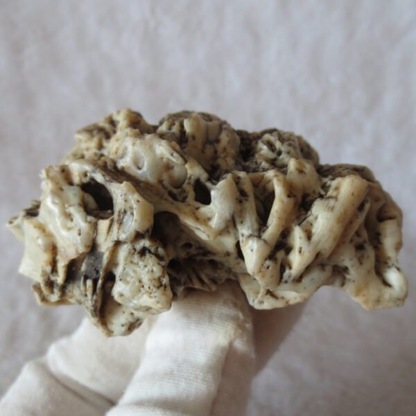 natural gobi skeleton stone (ji gu stone), boxwork ventifact, desert viewing stone (u15)