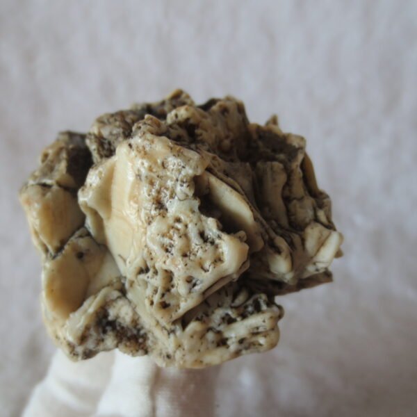 natural gobi skeleton stone (ji gu stone), boxwork ventifact, desert viewing stone (u15)