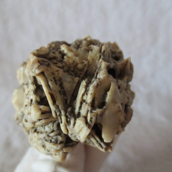 natural gobi skeleton stone (ji gu stone), boxwork ventifact, desert viewing stone (u15)
