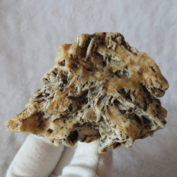 natural gobi skeleton stone (ji gu stone), boxwork ventifact, desert viewing stone (u15)