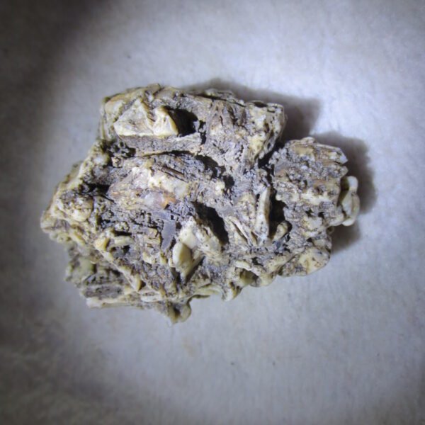 natural gobi skeleton stone (ji gu stone), boxwork ventifact, desert viewing stone (u15)