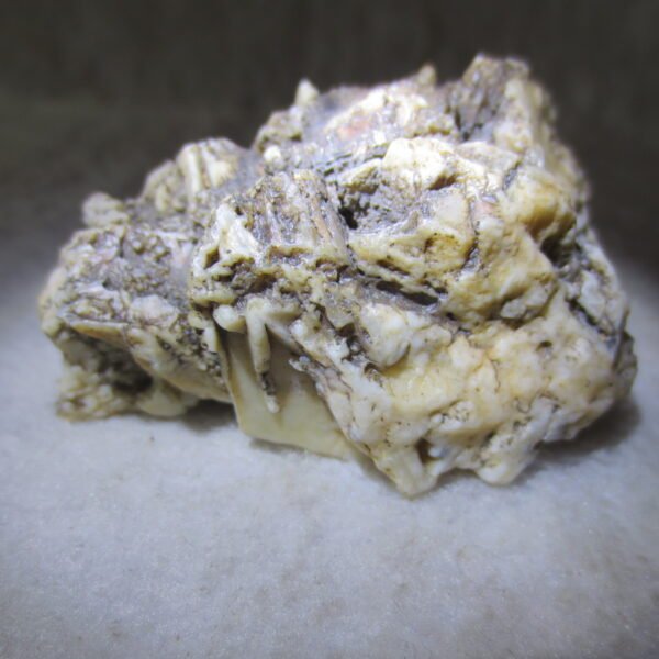 natural gobi skeleton stone (ji gu stone), boxwork ventifact, desert viewing stone (u15)