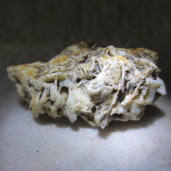 natural gobi skeleton stone (ji gu stone), boxwork ventifact, desert viewing stone (u15)