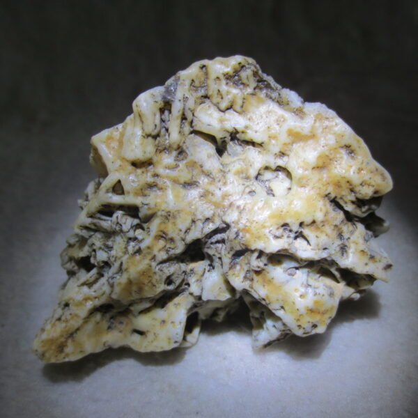 natural gobi skeleton stone (ji gu stone), boxwork ventifact, desert viewing stone (u15)