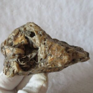 natural gobi skeleton stone (ji gu stone), boxwork ventifact, desert viewing stone (u14） (copy)