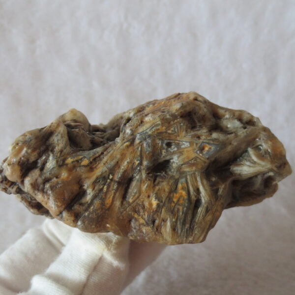 natural gobi skeleton stone (ji gu stone), boxwork ventifact, desert viewing stone (u14） (copy)