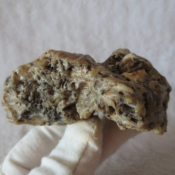 natural gobi skeleton stone (ji gu stone), boxwork ventifact, desert viewing stone (u14） (copy)