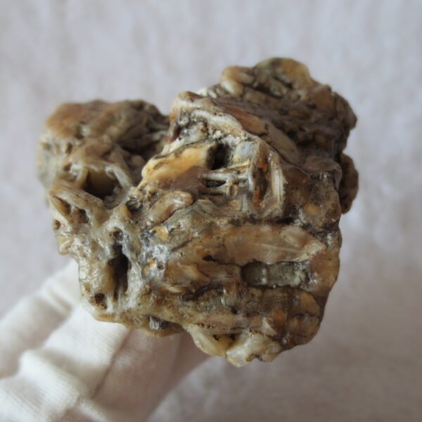 natural gobi skeleton stone (ji gu stone), boxwork ventifact, desert viewing stone (u14） (copy)