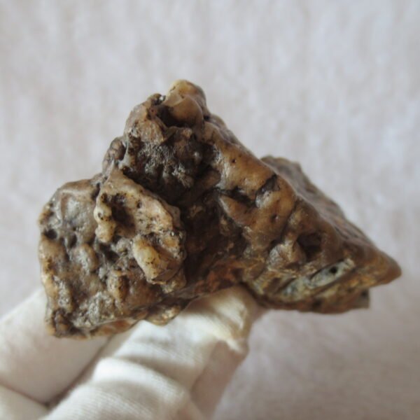 natural gobi skeleton stone (ji gu stone), boxwork ventifact, desert viewing stone (u14） (copy)