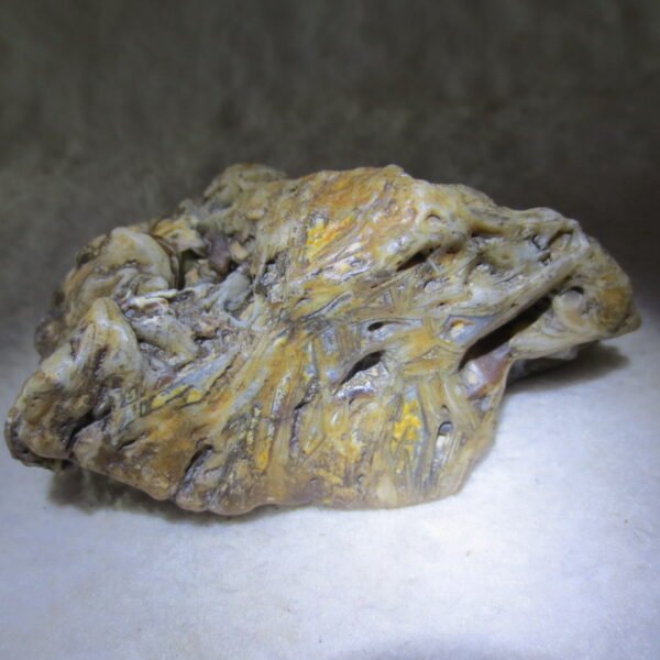 natural gobi skeleton stone (ji gu stone), boxwork ventifact, desert viewing stone (u14） (copy)