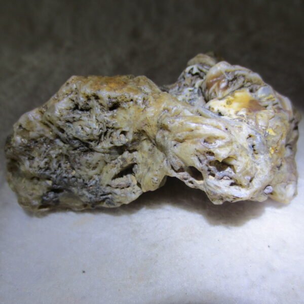 natural gobi skeleton stone (ji gu stone), boxwork ventifact, desert viewing stone (u14） (copy)