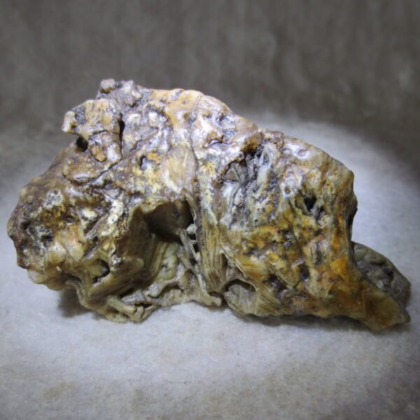 natural gobi skeleton stone (ji gu stone), boxwork ventifact, desert viewing stone (u14） (copy)