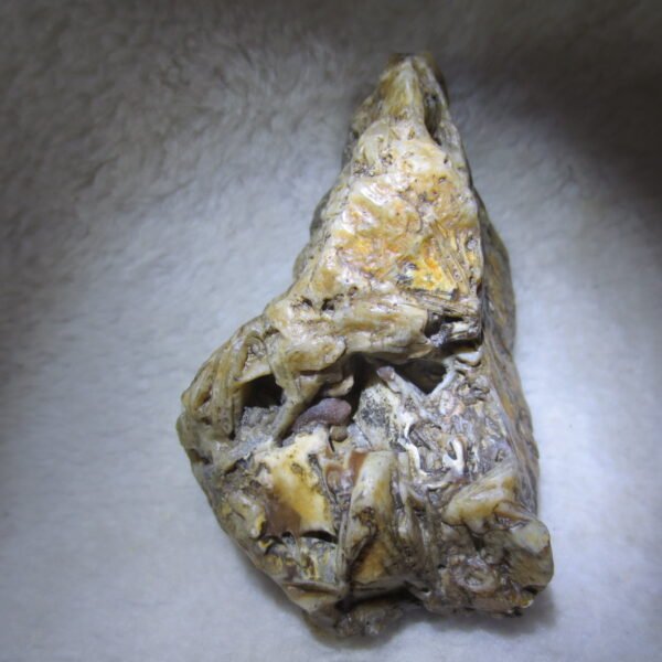 natural gobi skeleton stone (ji gu stone), boxwork ventifact, desert viewing stone (u14） (copy)