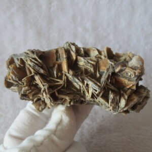 natural gobi skeleton stone (ji gu stone), boxwork ventifact, desert viewing stone (u17） (copy)