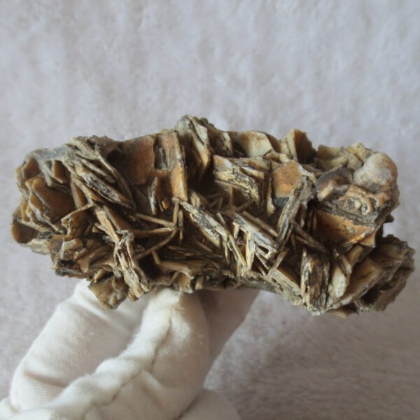 natural gobi skeleton stone (ji gu stone), boxwork ventifact, desert viewing stone (u17） (copy)