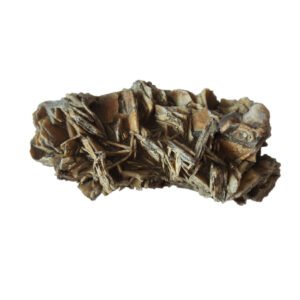 Gobi Skeleton Stone