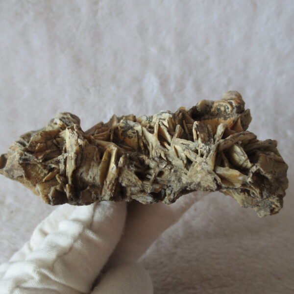 natural gobi skeleton stone (ji gu stone), boxwork ventifact, desert viewing stone (u17） (copy)